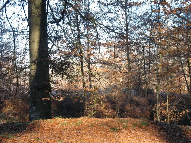 2007 11 Etangs de Hollande 23